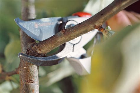 what are the best quality secateurs
